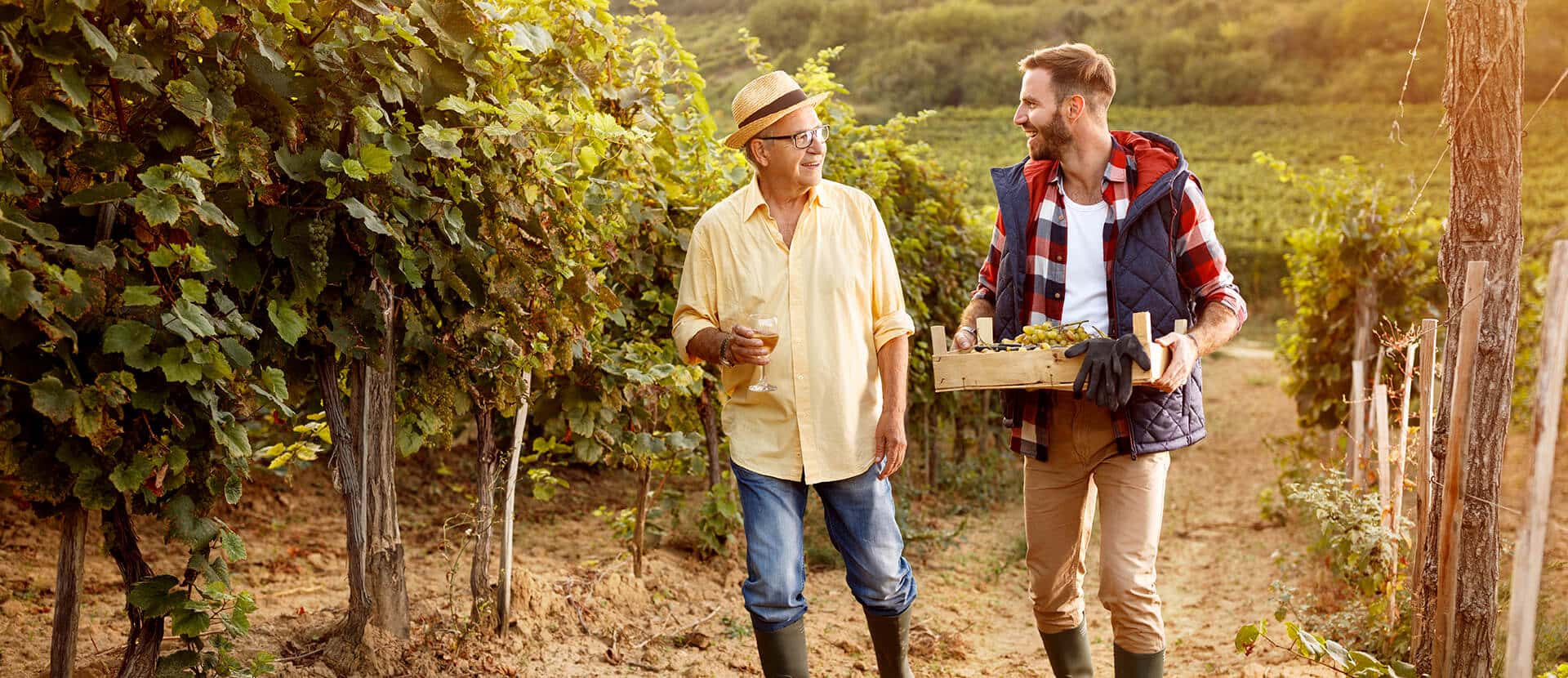 Father and Son at a vineyard