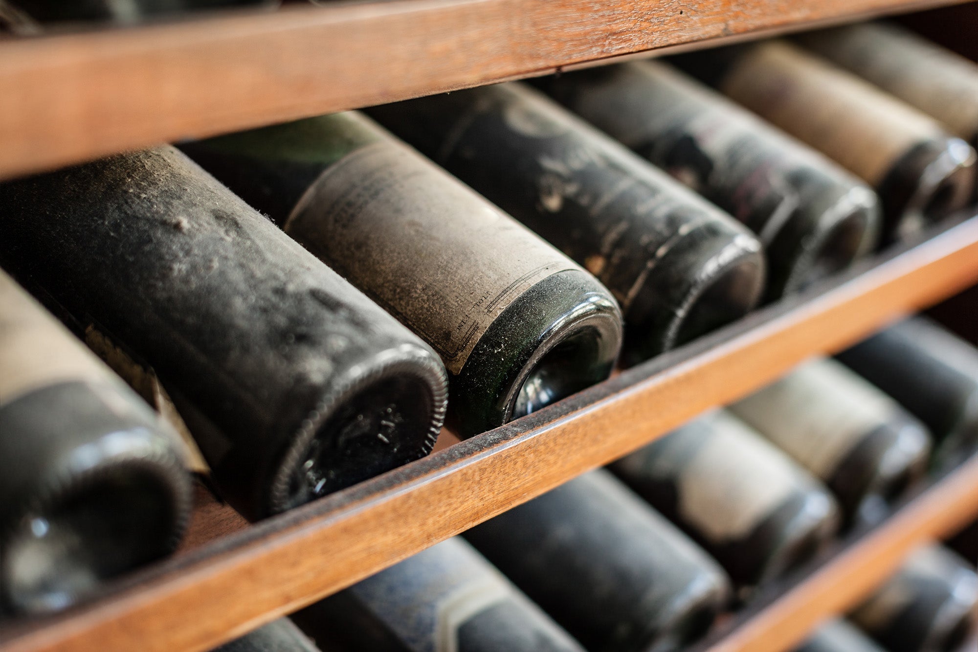 Dust-covered aged wine bottles of old wine aging horizontally on wooden racks in a wine cellar.