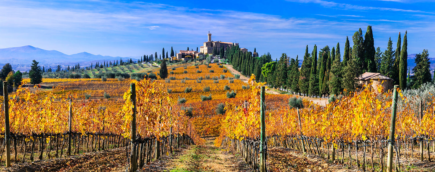 Brunello di Montalcino 
