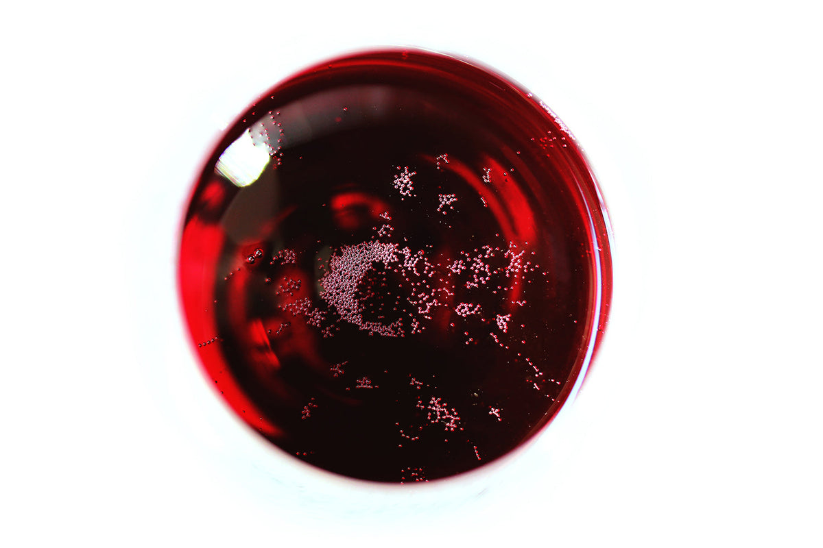 Lambrusco Wine Guide: 6 Key Things You Need to Know