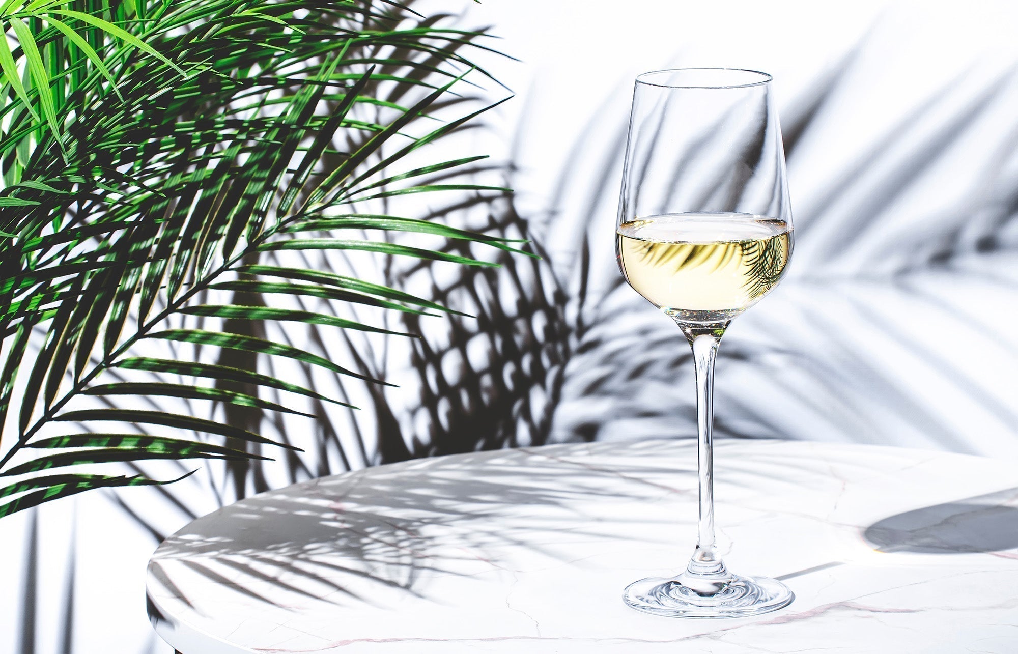 A tall, slender white wine glass half-filled with sauvignon blanc standing on a white marble table, with green palm frond leaves casting intricate shadows across the table and background.